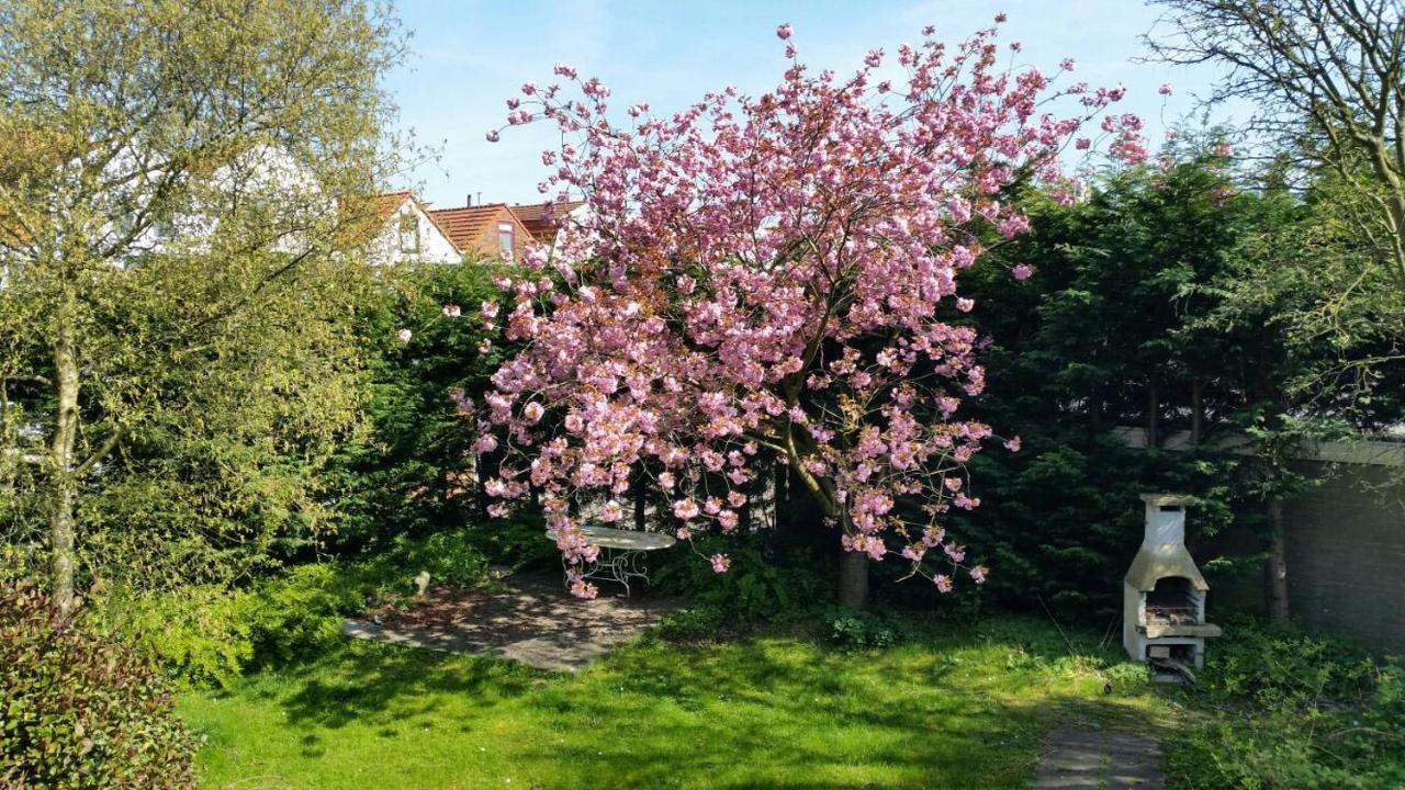 Kapiteinshuis Breskens Exterior foto